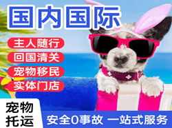 嫩江墨尔根机场空运国际宠物托运 【国